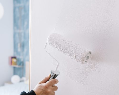 hand painting a wall in white with a roller, home decoration and renovation concept, horizontal photo with copy space for text