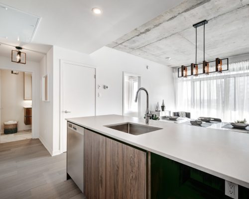 Brand new luxury Canadian style furnished and staged apartment i